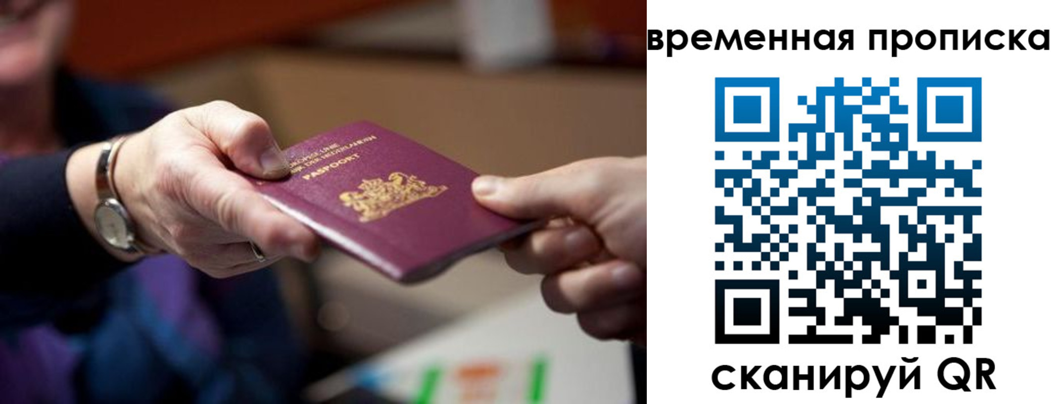 временная регистрация для всех в ЕАО